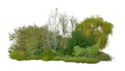 Obraz premium PNG Group of different trees forest outdoors nature.