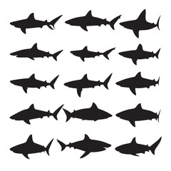 Vector silhouette set of shark on white background 