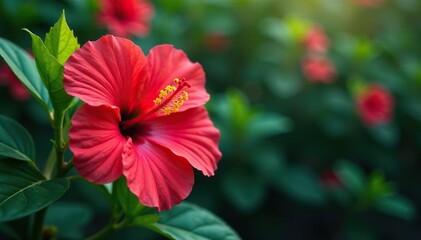 Vibrant tropical hibiscus, lush foliage, endless repeat , floral, bright, graphics