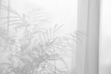 Sunlight on curtain, blurred shadow tulle background, sheer curtains, silk veil fabric