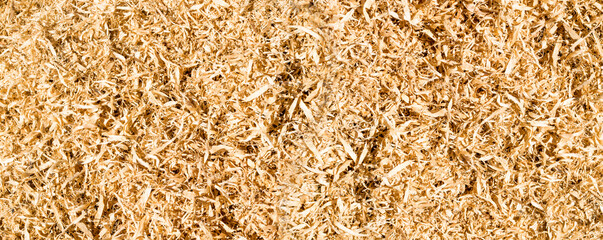 Wood sawdust background closeup