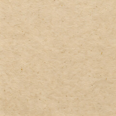 Obraz premium Brown Paper Texture
