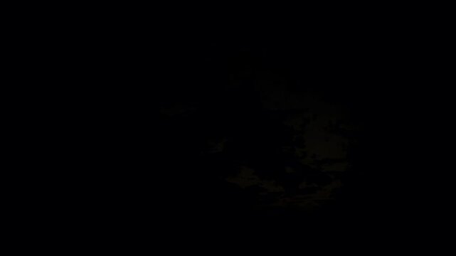 Dramatic sunset timelapse with sun rays through clouds and silhouetted palm tree