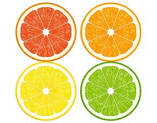 Obraz premium Four citrus fruit slices grapefruit, orange, lemon, lime