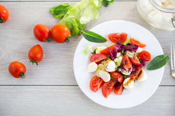 Appetizer with mozzarella, tomatoes and green leaves