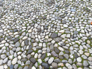 Natural cobblestone path with green moss in outdoor setting