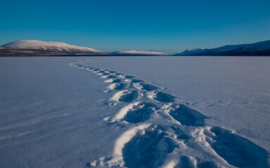 Footprints lead across a snowy, sunlit field. Snow-capped mountains rise distantly in the horizon under a clear blue sky.