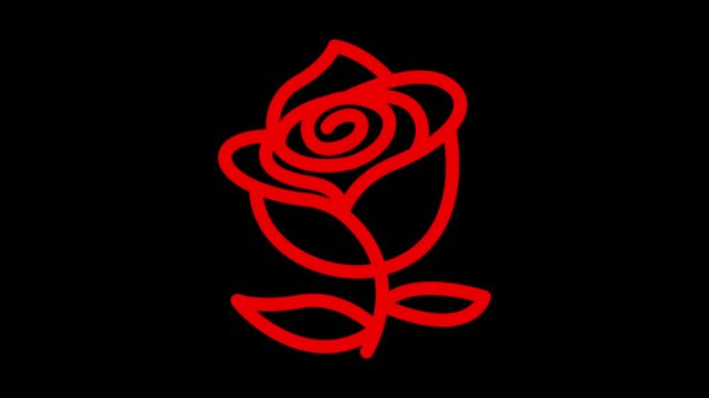 Elegant Red Rose on Black Background Romantic Floral Love Blossom Illustration for Valentine Design