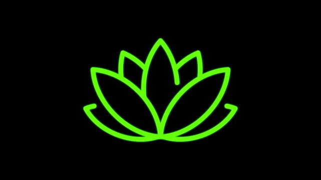 Green leaf eco icon, a natural plant symbol vector illustration video