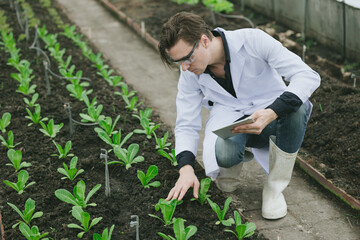 Modern farmer working plant research in organic farm. Biologist study collecting plant grow data