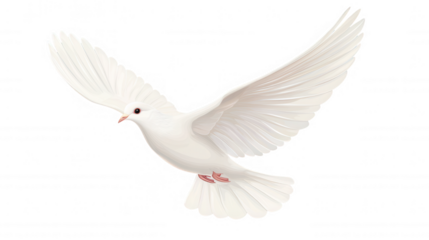 White dove spreading harmony, flying with elegance against transparent backdrop, representing wings, spiritual peace, freedom