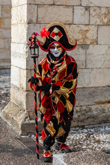 Jester - Annecy Venetian Carnival 2013