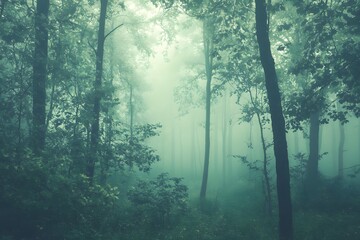 Fototapeta premium Atmospheric forest scene with dense fog creating a mystical and enchanting landscape