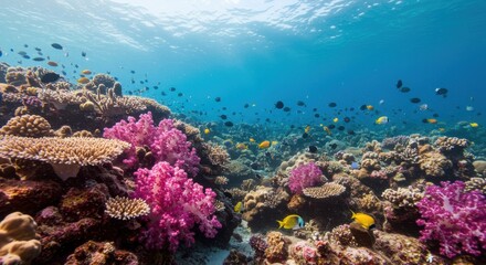 Fototapeta premium Vibrant coral reef teeming with colorful fish in clear blue ocean water
