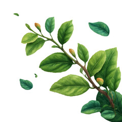 Fototapeta premium Floating green leaves nature setting digital illustration transparent background close-up view botanical concept