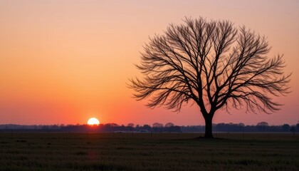 Silhouetted tree against a colorful sunset sky.