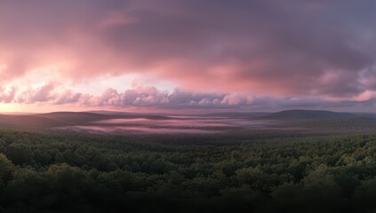 Obraz premium Sunrise over misty forest landscape