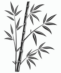 Black and white bamboo drawing