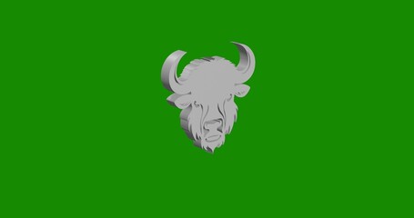 Isolated realistic white buffalo head front view with shadow. 3d illustration on green chroma key background