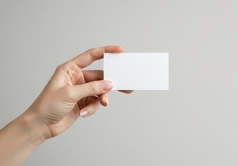 A Blank Canvas, Held.