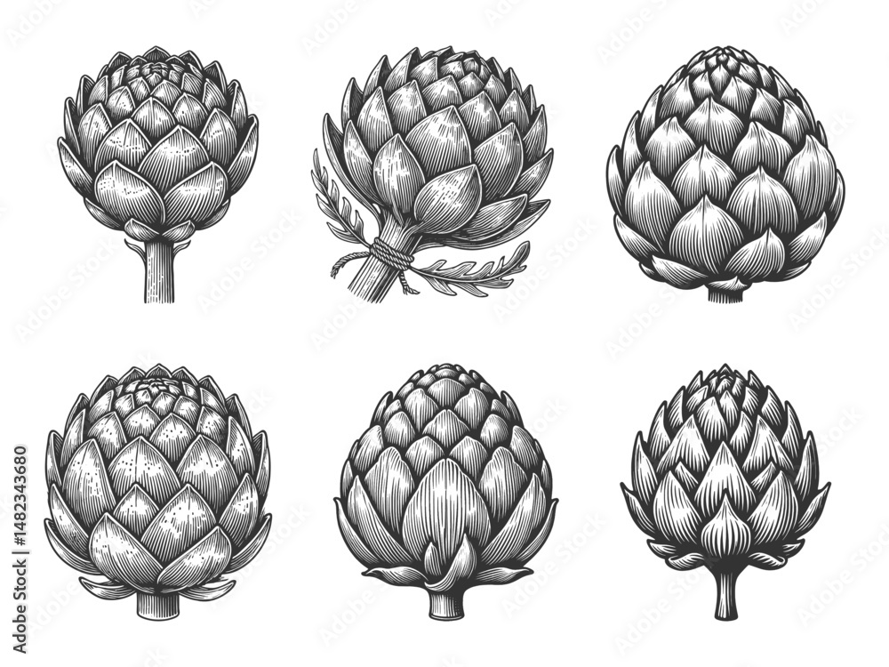 Poster artichoke set collection bundle sketch engraving generative ai vector illustration. scratch board im