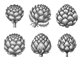 Fototapeta premium artichoke Set collection bundle sketch engraving generative ai vector illustration. Scratch board imitation. Black and white image.