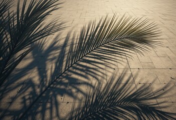 Obraz premium Palm Fronds Casting Sharp Shadows on Clean Tiled Surface in Soft Afternoon Sunlight for Tropical Botanical Background and Minimalist Summer Design Concepts