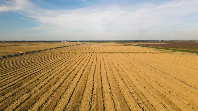 Harvested wheat fields in Spain, aerial view