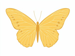 Fototapeta premium Yellow Butterfly