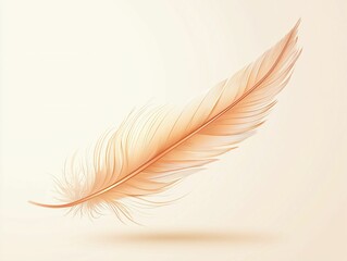 Obraz premium Light Brown Feather