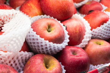 Fresh red apples wrapped in white foam netting are neatly stacked, ready for sale at a market or grocery store, showcasing vibrant color and ripeness.
