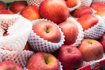 Fresh red apples wrapped in white foam netting are neatly stacked, ready for sale at a market or grocery store, showcasing vibrant color and ripeness.