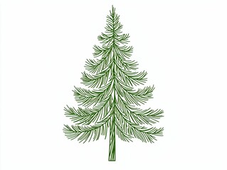 Fototapeta premium Evergreen Tree Illustration