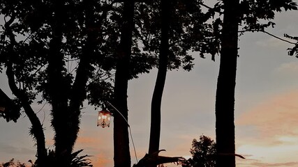 A calm evening scene after sunset, as trees and streetlights sway gently in the wind.