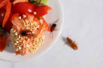 Cockroaches and food leftovers on light table, top view