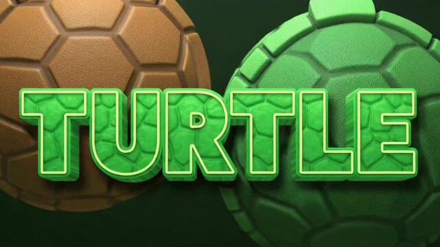 3D deep-green text 'TURTLE' with shell design &mdash; wise and steady.