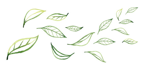 Scattered green leaves in watercolor style isolated on white background. Hand drawn botanical illustration. Nature and eco design concept