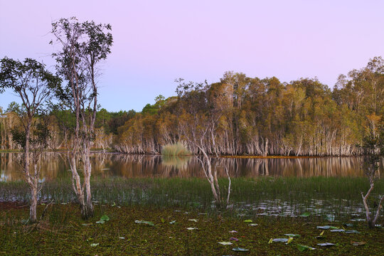 Evening pastels bathing the wetlands at Ewen Maddock Dam