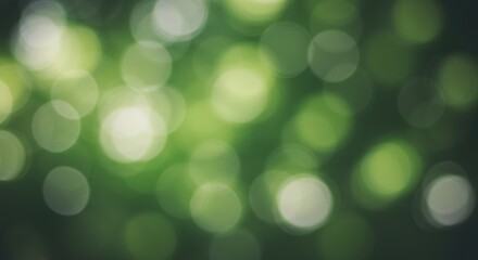 Soft green bokeh background with light orbs, ideal for nature-themed designs