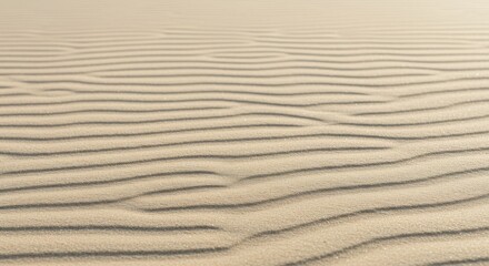 Obraz premium Smooth undulating sand patterns in a serene desert landscape at sunrise