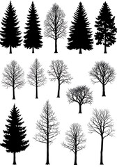 Winter's Silhouette Collection