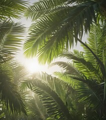 Fototapeta premium Lush green palm fronds, sunlight filtering through , nature, vibrant, shadows
