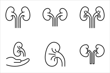 kidneys icon set, urinary system concept, vector illustration on white background