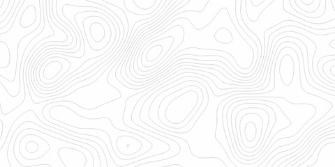 Abstract curve grid map and topo contour map white background. Topographic contour lines. Seamless...