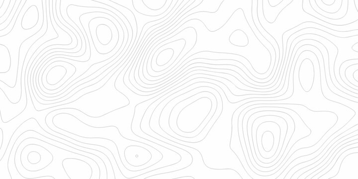 Abstract curve grid map and topo contour map white background. Topographic contour lines. Seamless pattern with lines Topographic map.