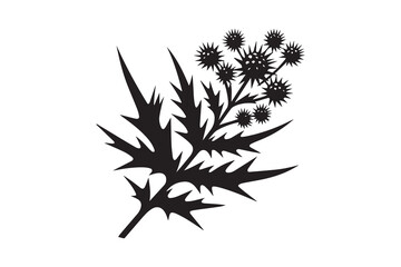 Naklejka premium simple and unobtrusive sea holly vector silhouette illustration isolated in white background
