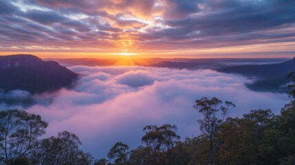 Obraz premium Sunrise over a valley shrouded in clouds, with vibrant colors, mountain ranges, and trees in the foreground..