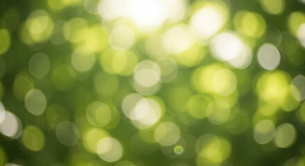 Obraz premium Soft-focus green bokeh background with sunlight filtering through foliage