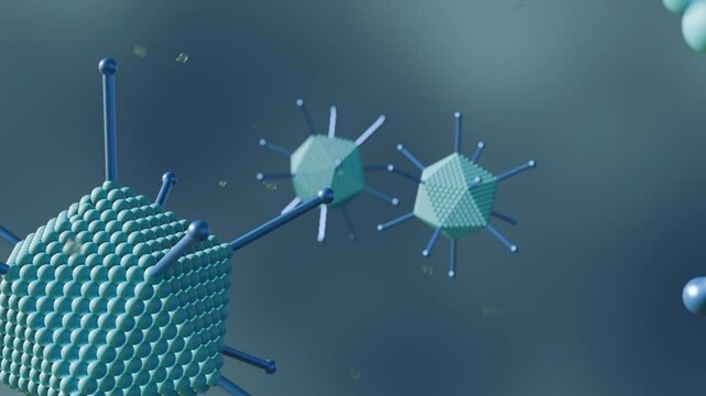 A 3d animation of floating adenovirus, highlighting its key structural components essential for its function and interaction with host cells.
