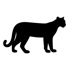 Silhouette of a majestic mountain lion standing still and observing its surroundings